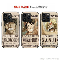 Luffy Zoro Sanji 2