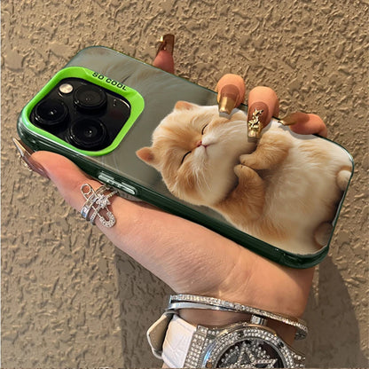 Cute Funny Fat Cat Case For iPhone